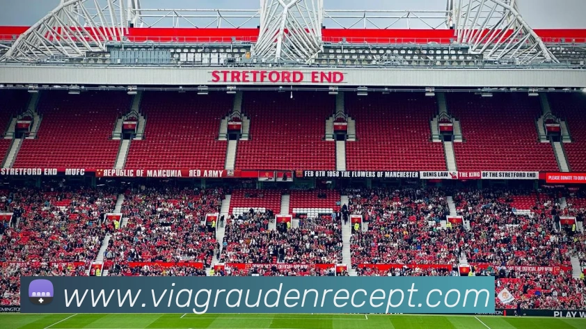 互动解说服务
